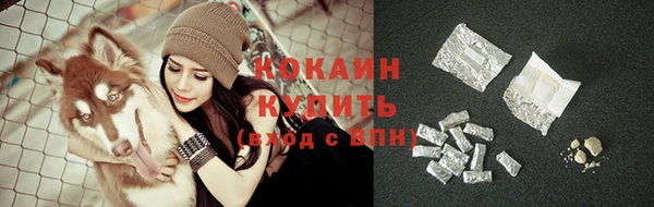 молекула духа Абинск