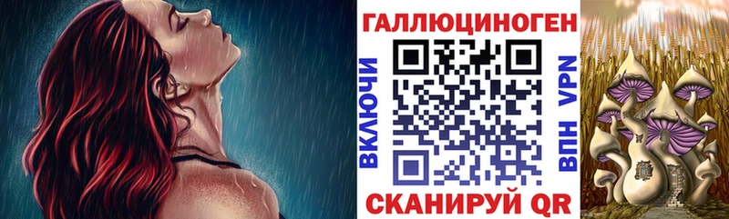 Псилоцибиновые грибы Psilocybe  Ачхой-Мартан 